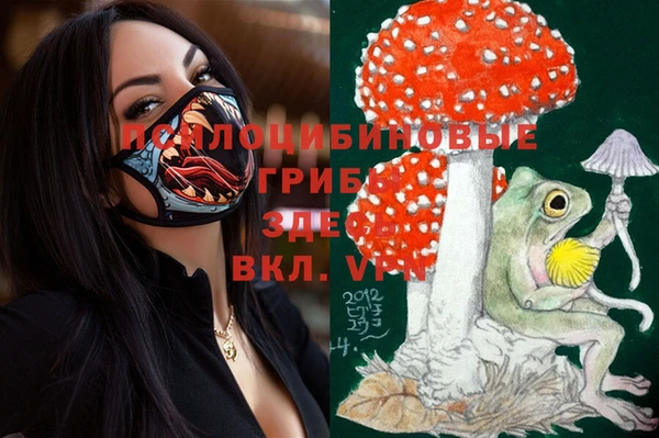 MDMA Premium VHQ Волоколамск