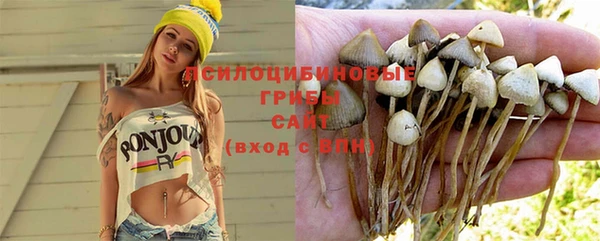 крисы Володарск
